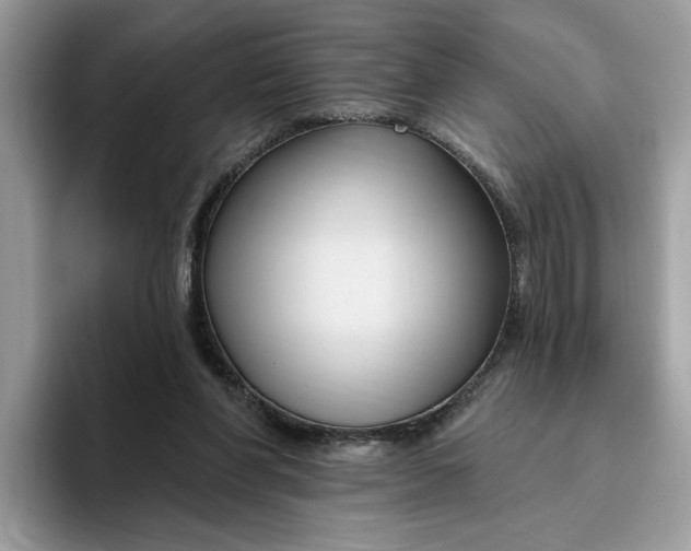 X0000095960206200801251157