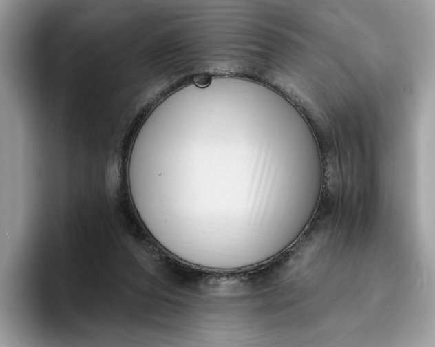 X0000095960208200801251156