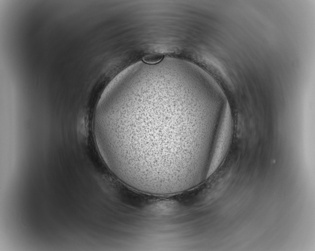 X0000095960210200801251156