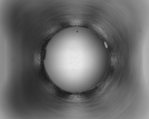 X0000095960211200801251156