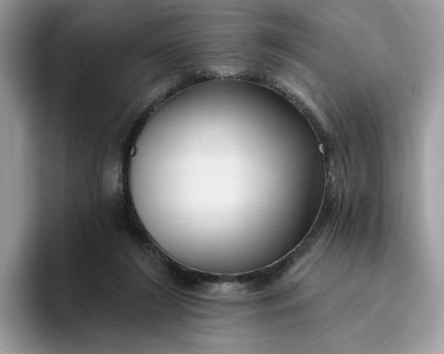 X0000095960212200801251156