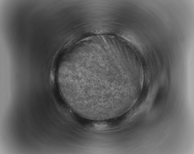 X0000095960214200801251156