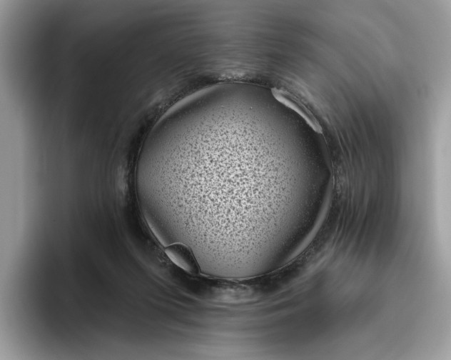 X0000095960215200801251156