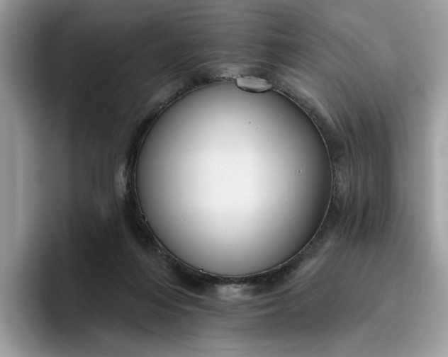 X0000095960216200801251156