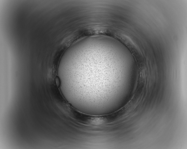 X0000095960218200801251156