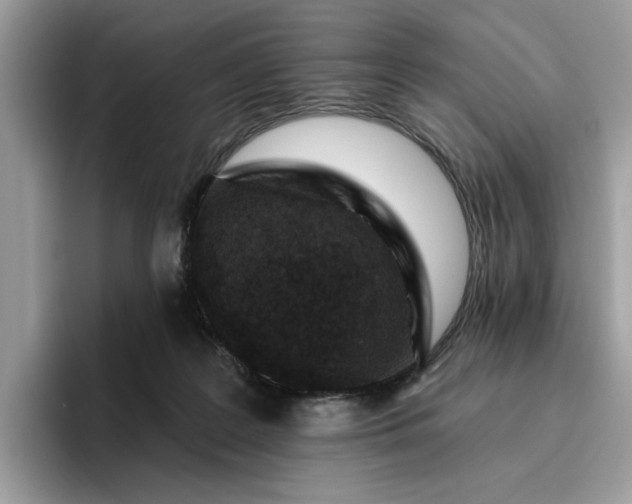 X0000095960219200801251156