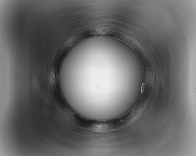 X0000095960220200801251156