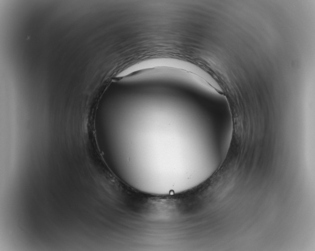 X0000095960221200801251156