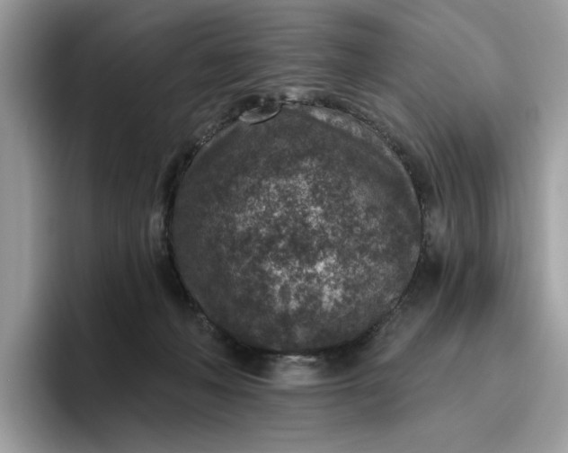 X0000095960222200801251156