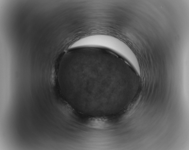 X0000095960223200801251156