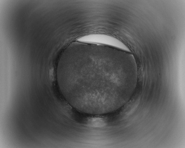 X0000095960224200801251156