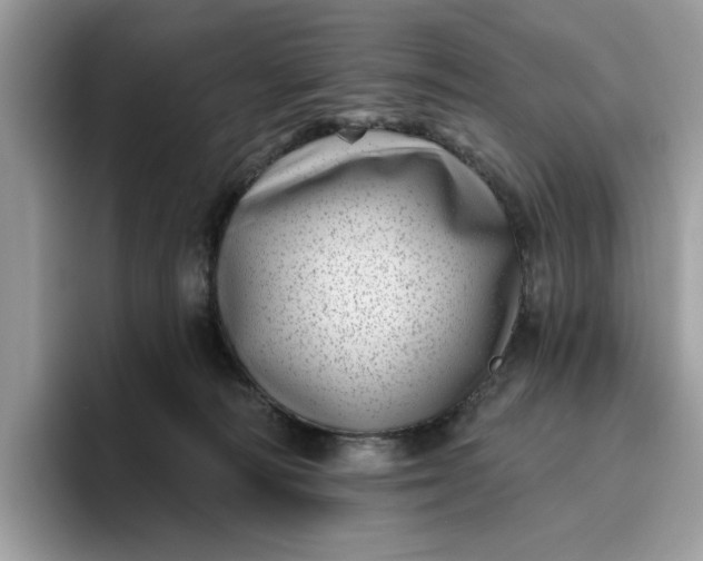 X0000095960226200801251156