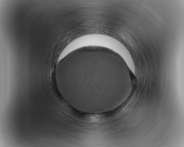 X0000095960229200801251156