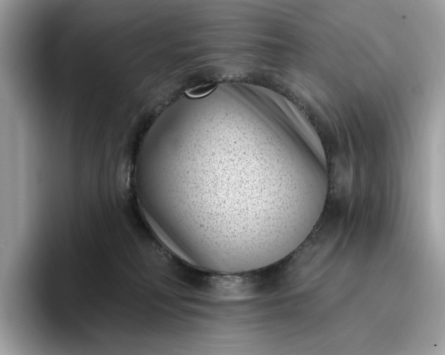 X0000095960230200801251156