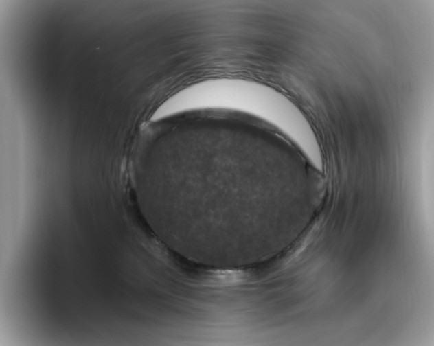 X0000095960233200801251156