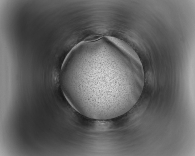 X0000095960234200801251156