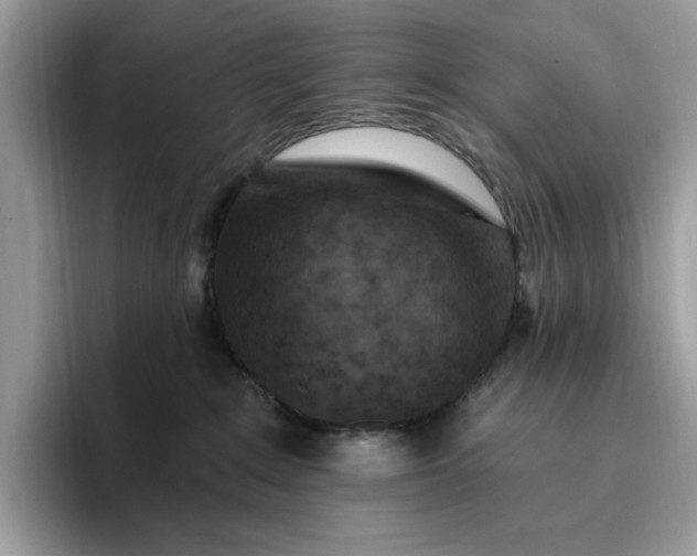 X0000095960235200801251156