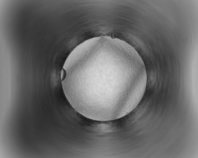 X0000095960236200801251156