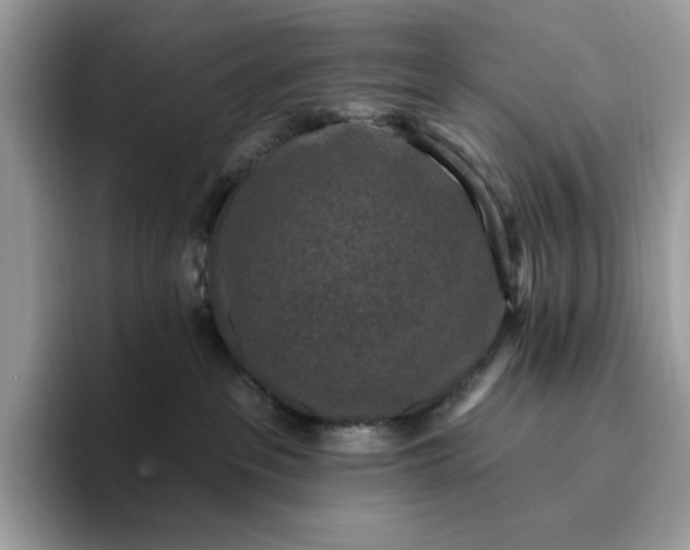 X0000095960237200801251156