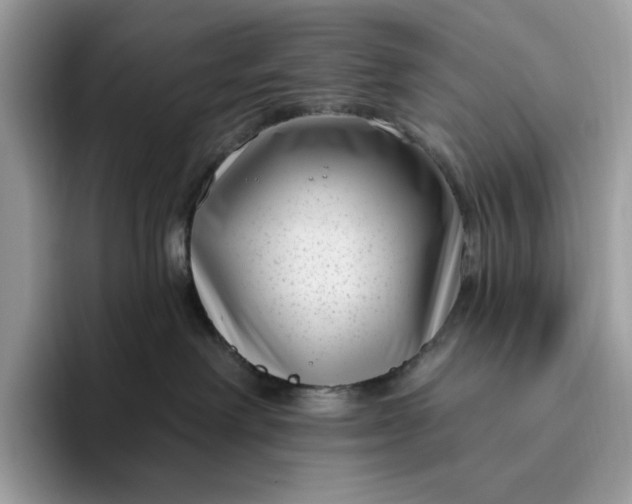 X0000095960238200801251156