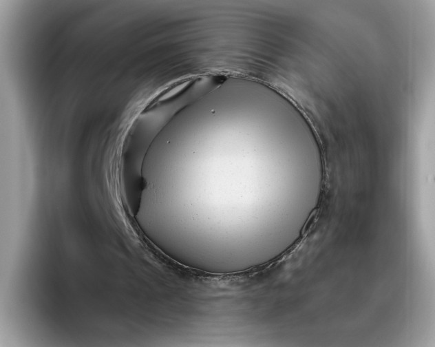 X0000095960241200801251155