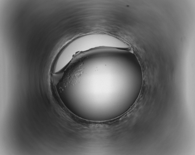 X0000095960242200801251155