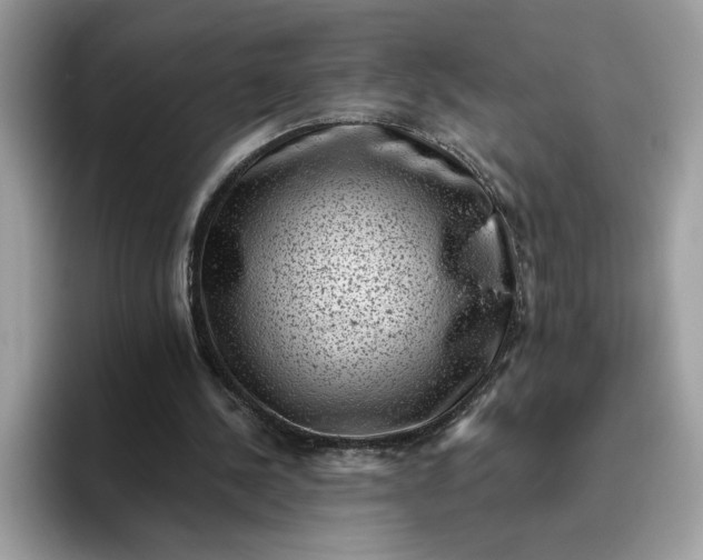 X0000095960244200801251156