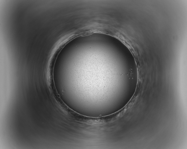 X0000095960245200801251156