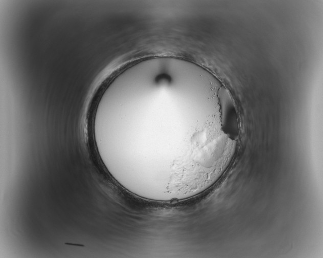 X0000095960246200801251156