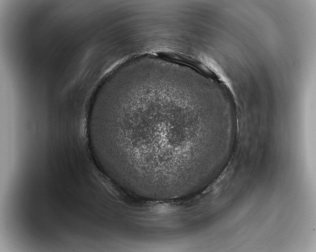 X0000095960249200801251156