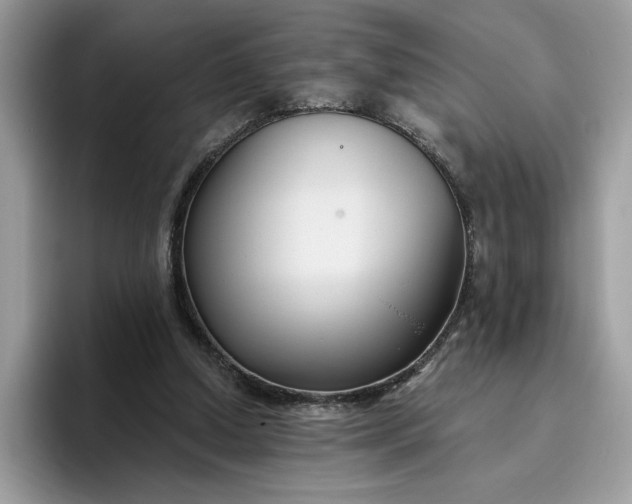 X0000095960250200801251156