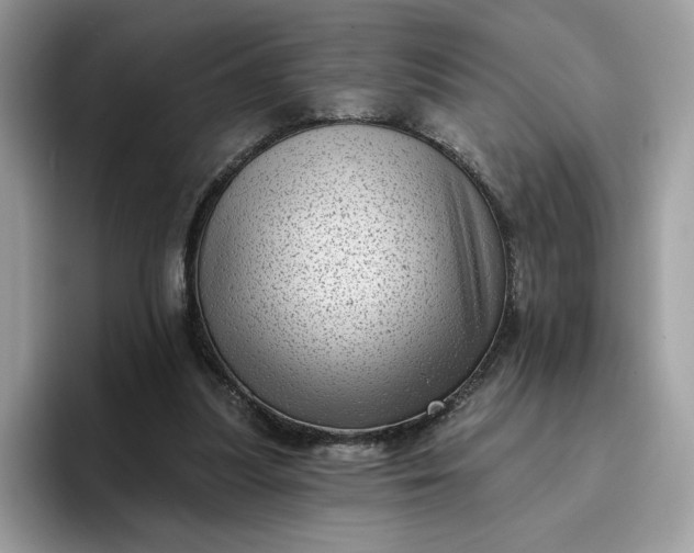 X0000095960251200801251156