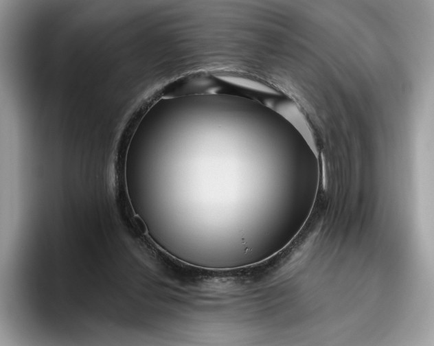 X0000095960252200801251156