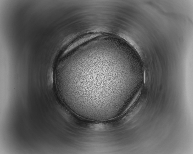 X0000095960253200801251156