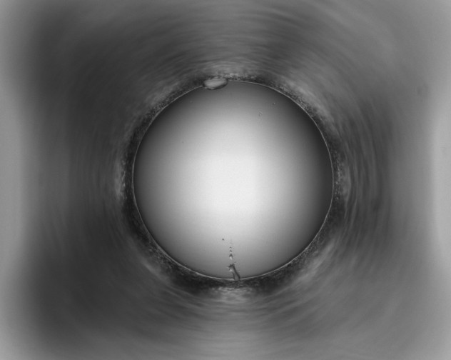 X0000095960255200801251156