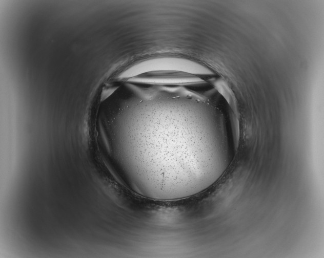 X0000095960256200801251156