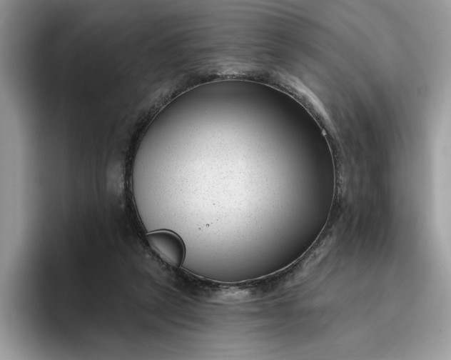 X0000095960257200801251156