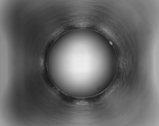 X0000095960258200801251156