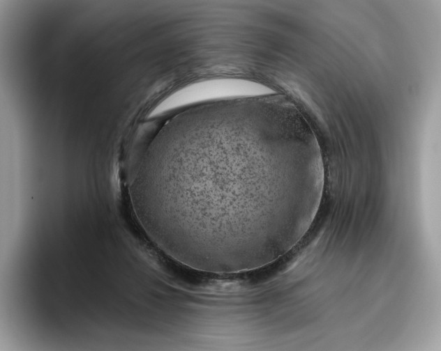 X0000095960260200801251156