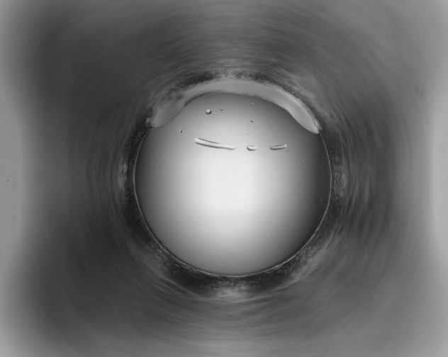 X0000095960263200801251156