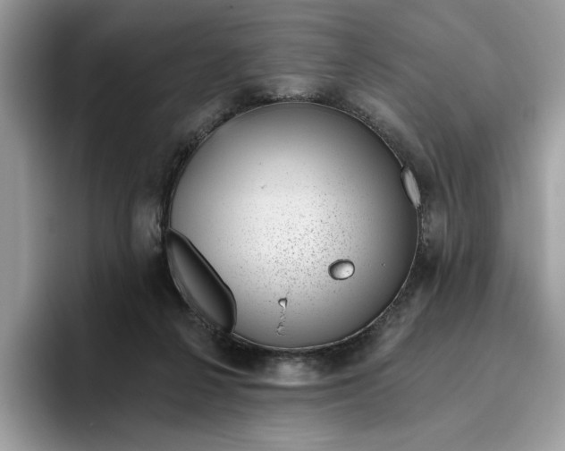 X0000095960264200801251156