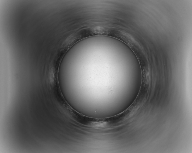 X0000095960266200801251156