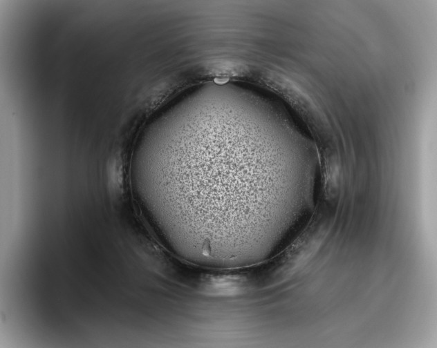 X0000095960268200801251156