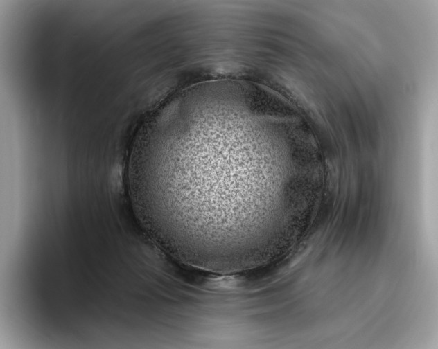 X0000095960269200801251156