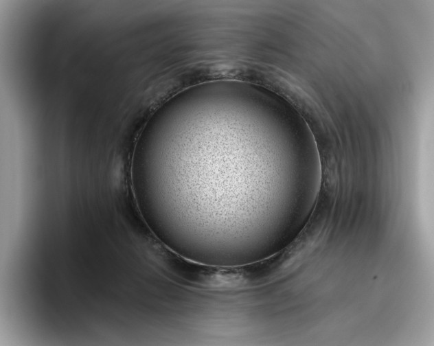 X0000095960270200801251156