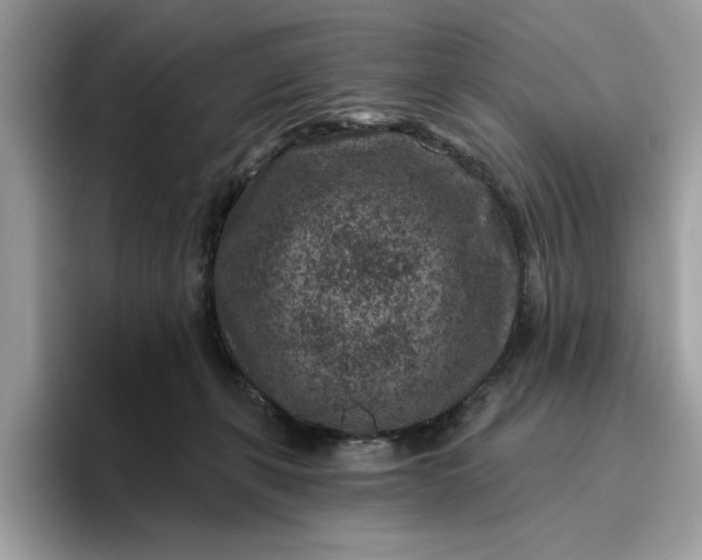 X0000095960271200801251156