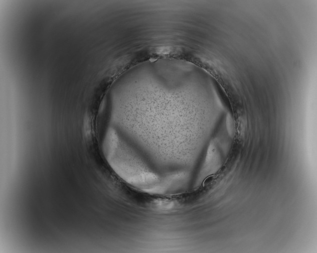 X0000095960272200801251156