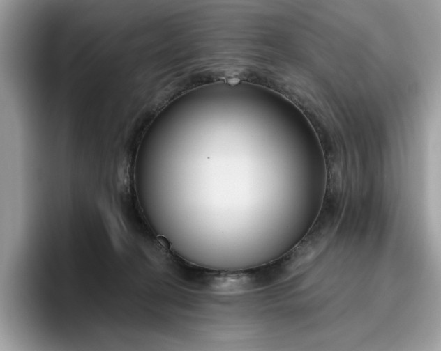 X0000095960274200801251156