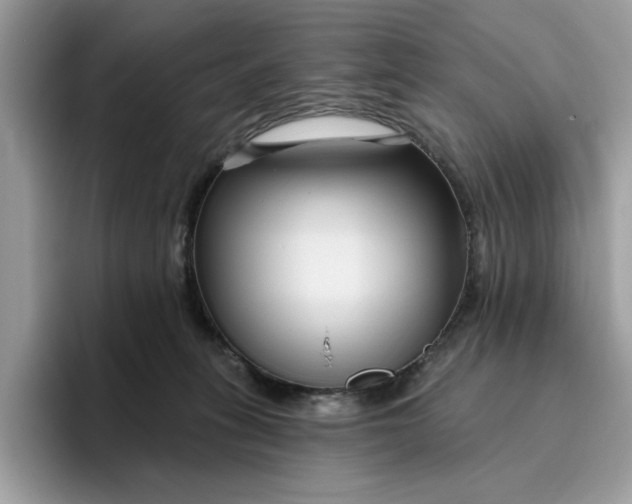 X0000095960275200801251156