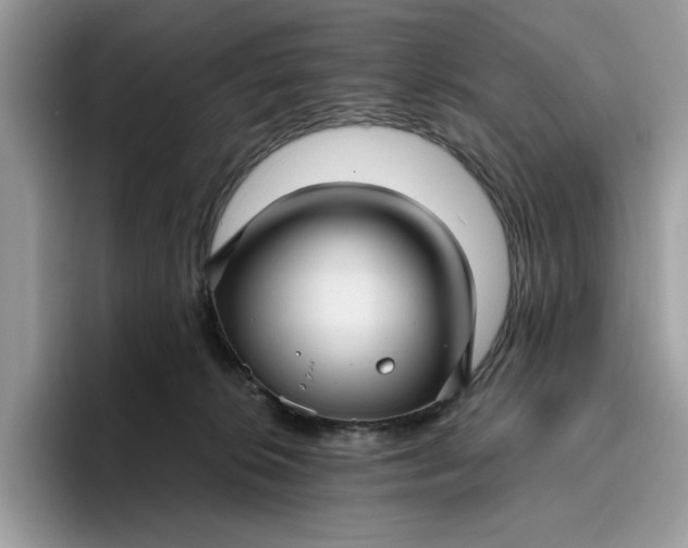 X0000095960276200801251156